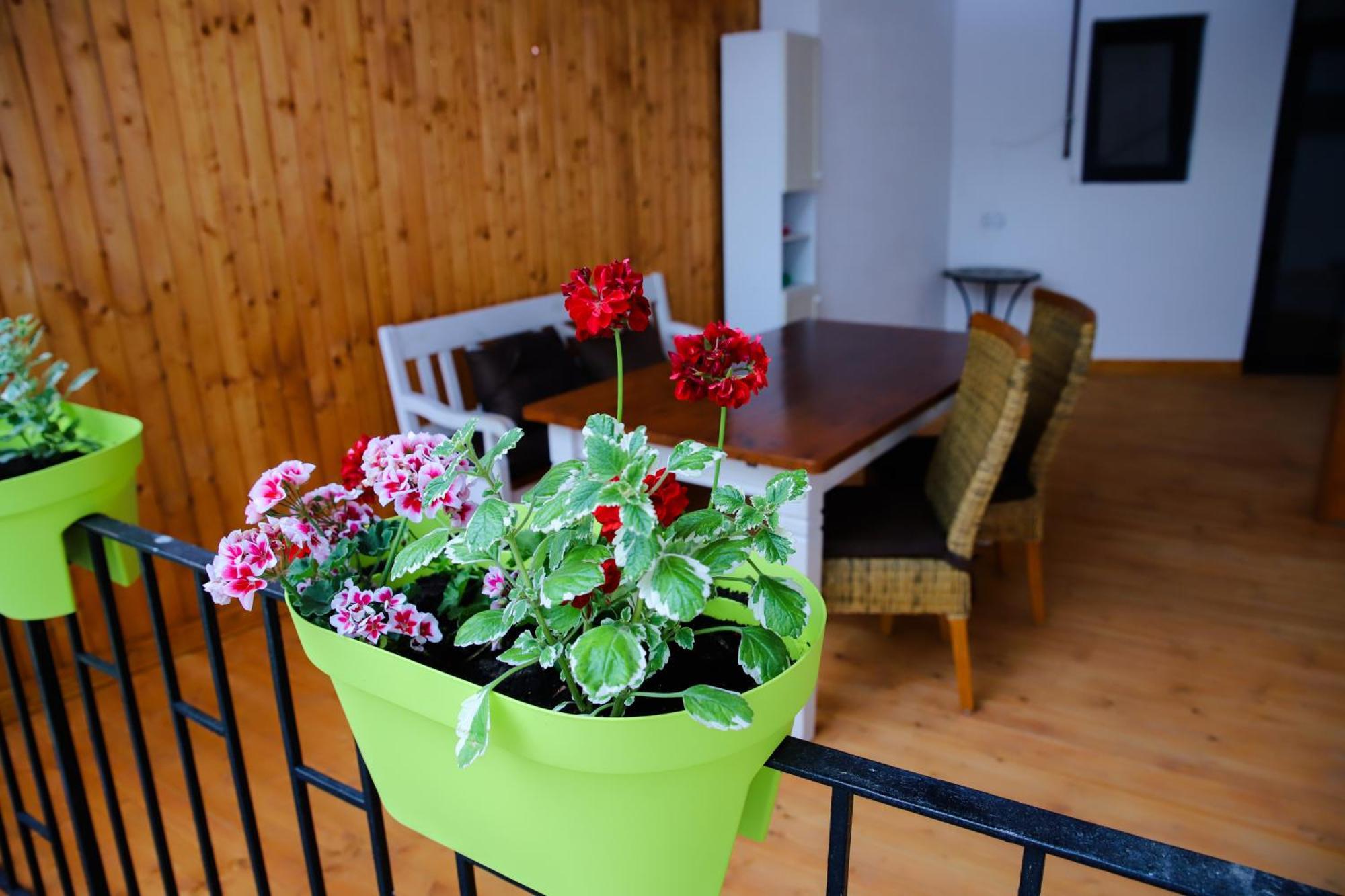 Floasiu Residence Guesthouse Sibiu Extérieur photo