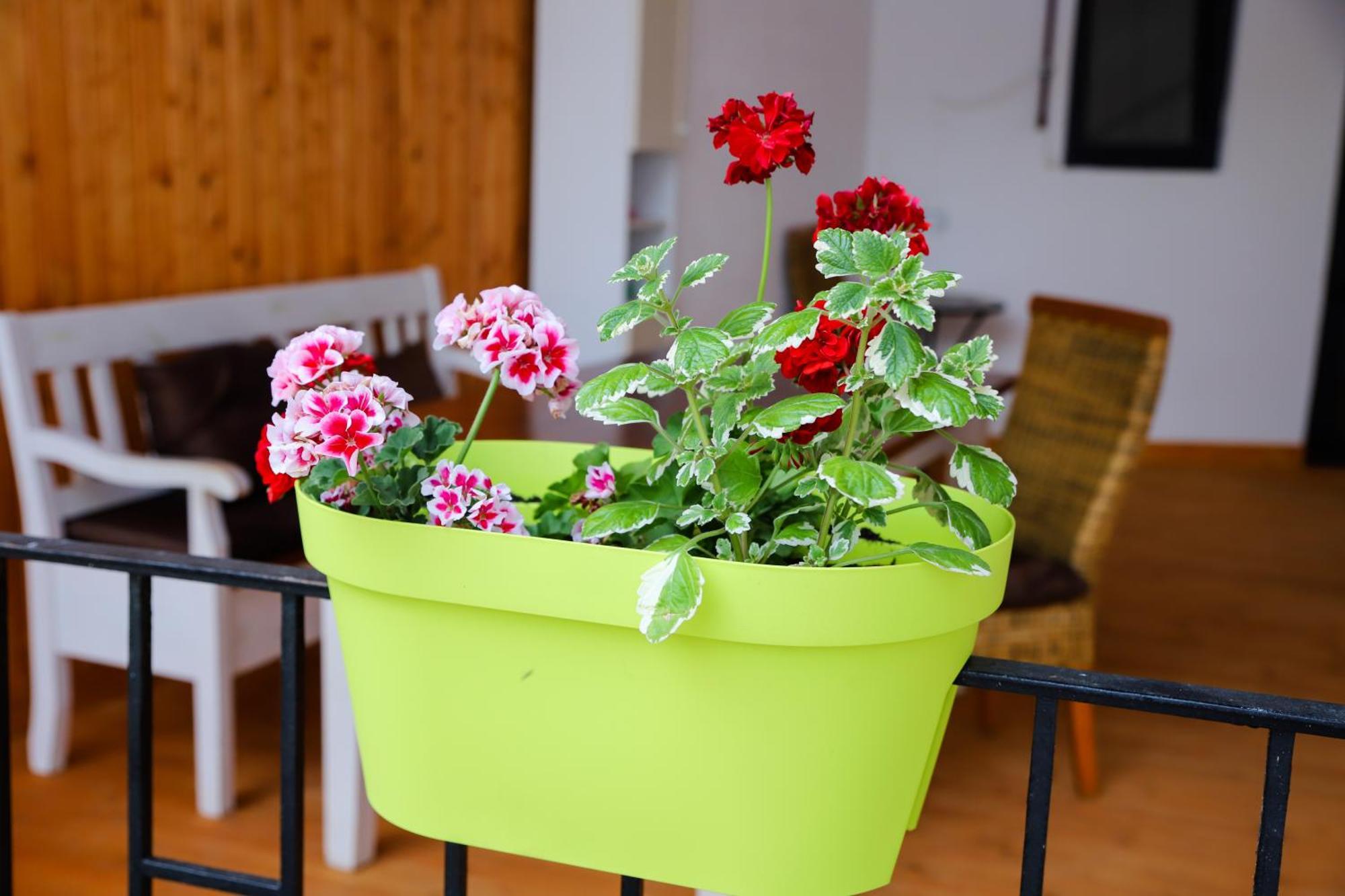 Floasiu Residence Guesthouse Sibiu Extérieur photo